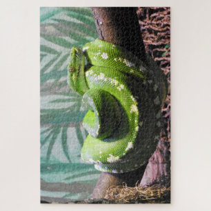 Green Tree Python Jigsaw Puzzle