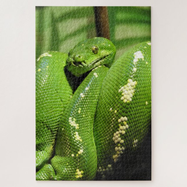 Green Tree Python Jigsaw Puzzle (Vertical)