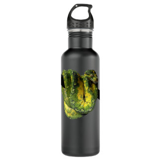 Green Tree Python Reptile Photography 710 Ml Water Bottle
