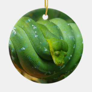 Green Tree Python Snake Ceramic Tree Decoration