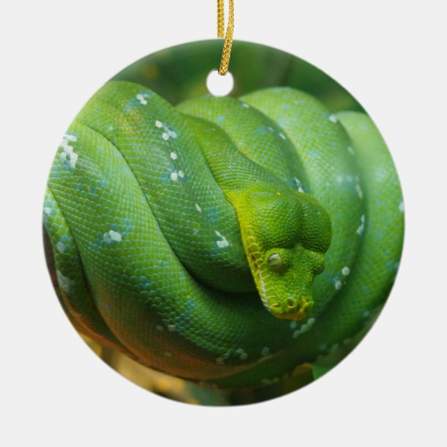Green Tree Python Snake Ceramic Tree Decoration (Front)
