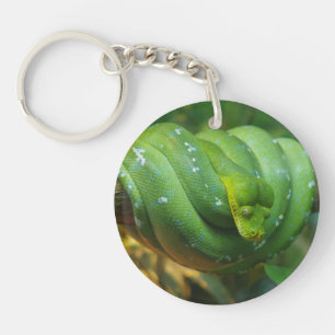 Green Tree Python Snake Key Ring