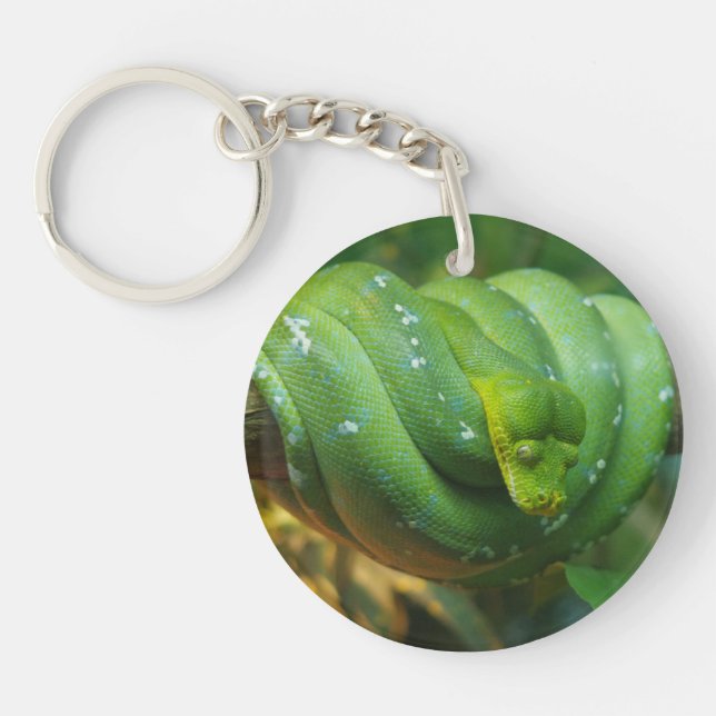 Green Tree Python Snake Key Ring (Front)