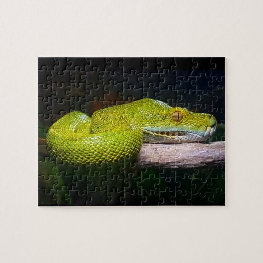 Green Tree Python Snake Owner Jigsaw Puzzle | Zazzle.co.uk