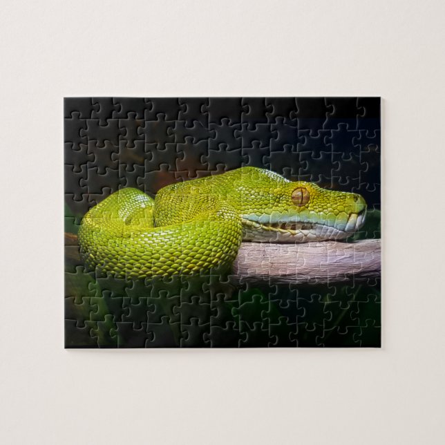 Green Tree Python Snake Owner Jigsaw Puzzle (Horizontal)