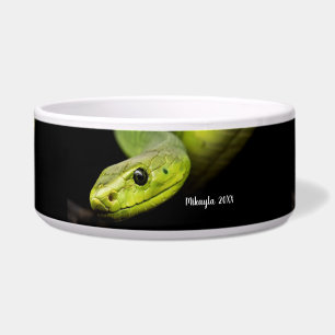 Green Tree Snake