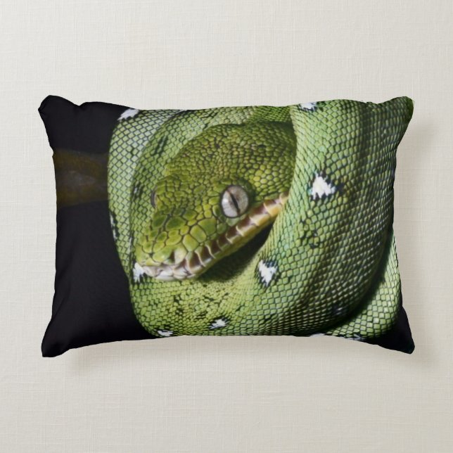 Green tree snake emerald boa in Bolivia Decorative Cushion (Front)