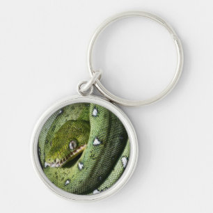 Green tree snake emerald boa in Bolivia Key Ring