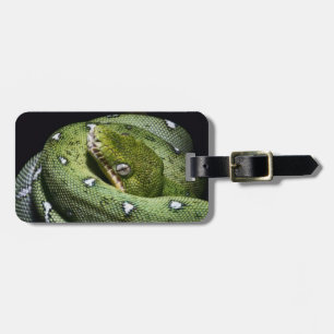 Green tree snake emerald boa in Bolivia Luggage Tag