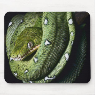 Green tree snake emerald boa in Bolivia Mouse Mat