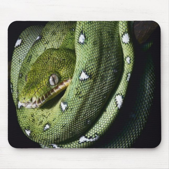 Green tree snake emerald boa in Bolivia Mouse Mat (Front)