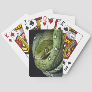 Green tree snake emerald boa in Bolivia Playing Cards
