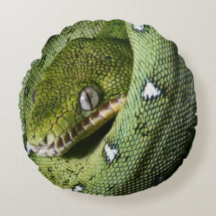 Green tree snake emerald boa in Bolivia Round Cushion