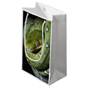 Green tree snake emerald boa in Bolivia Small Gift Bag
