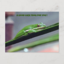 Green Treefrog Good Luck Postcard