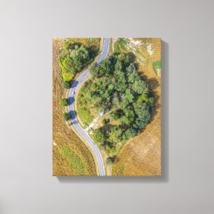 Green trees between two roads canvas print