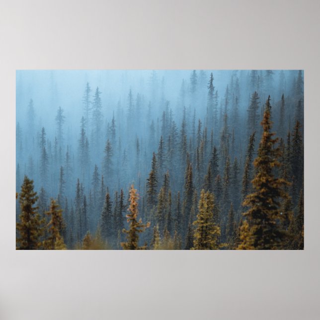 GREEN TREES DURING DAYTIME POSTER (Front)