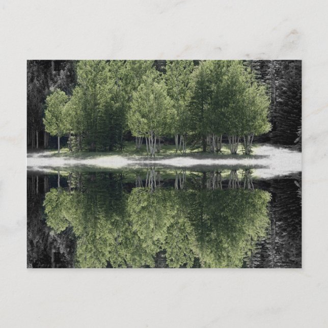 Green Trees Postcard (Front)
