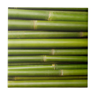 Green Tropical Bamboo Plant Botanical Tile