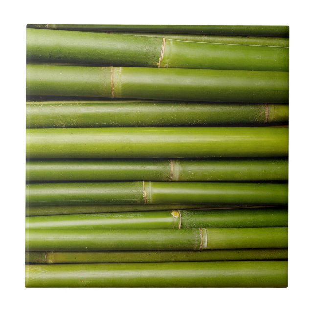 Green Tropical Bamboo Plant Botanical Tile (Front)