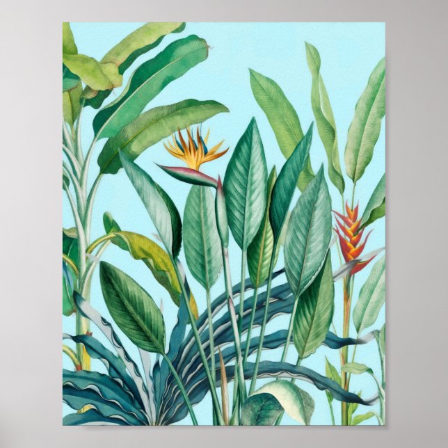 Green Tropical Jungle Banana Tree Strelitzia  Poster (Front)