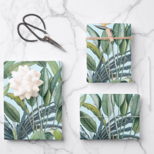Green Tropical Jungle Banana Tree Strelitzia Wrapping Paper Sheet