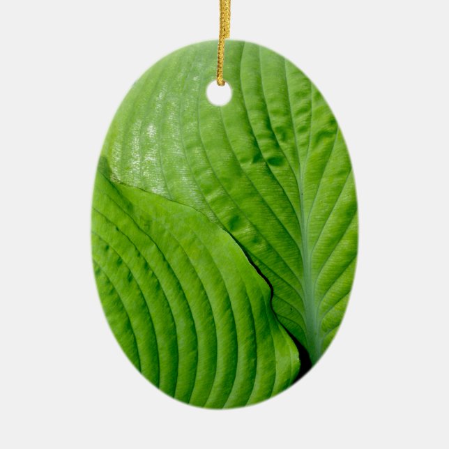 Green tropical leaves ceramic tree decoration (Front)