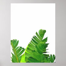 Green Tropical Palm Banana Leaves