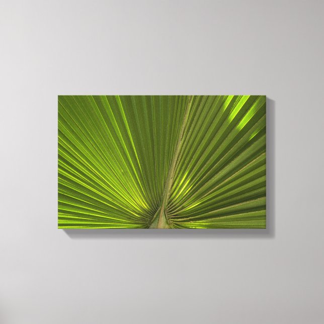 Green Tropical Palm Frond Canvas Print (Front)