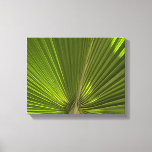 Green Tropical Palm Frond Canvas Print