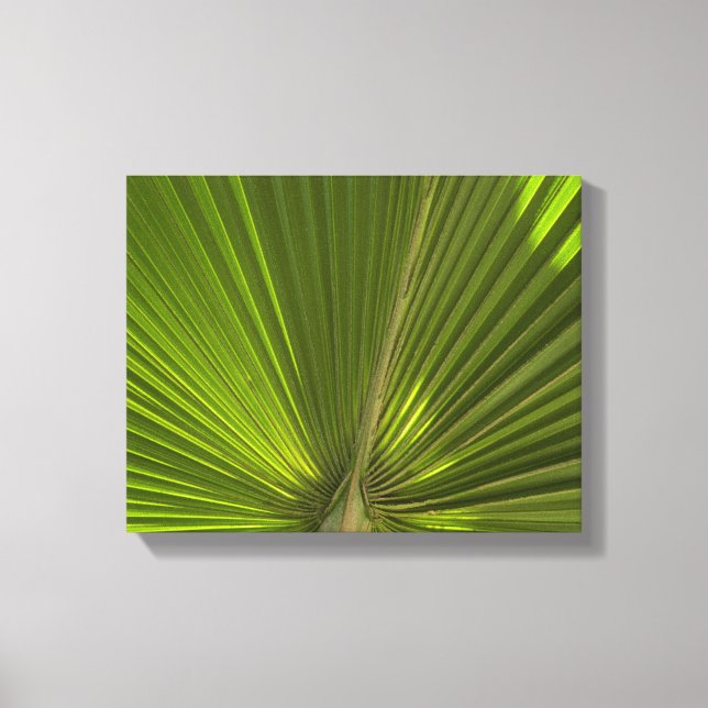 Green Tropical Palm Frond Canvas Print (Front)