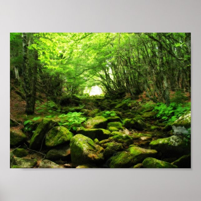 Green Tunnel Poster (Front)