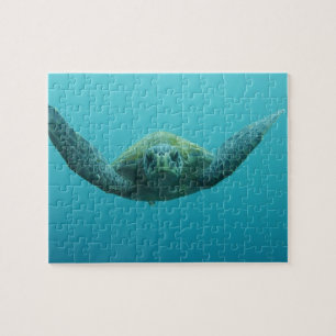 Green Turtle (Chelonia mydas agassisi), Central Jigsaw Puzzle