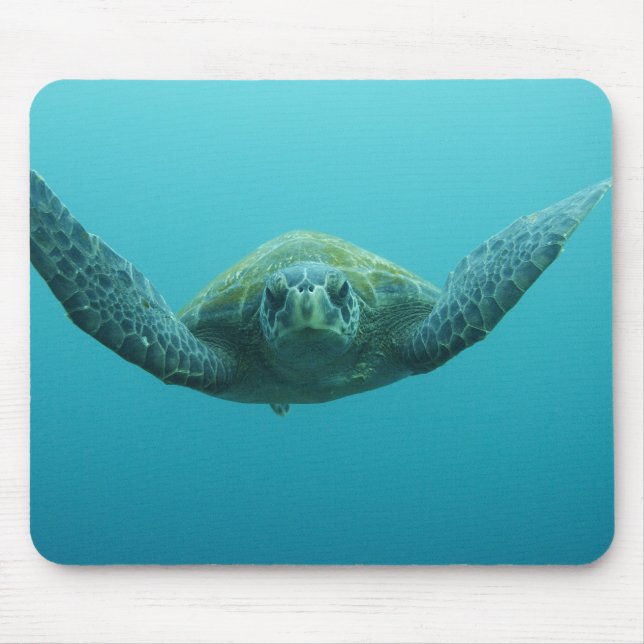 Green Turtle (Chelonia mydas agassisi), Central Mouse Mat (Front)