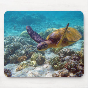 Green Turtle Chelonia Mydas Swimming Mouse Mat
