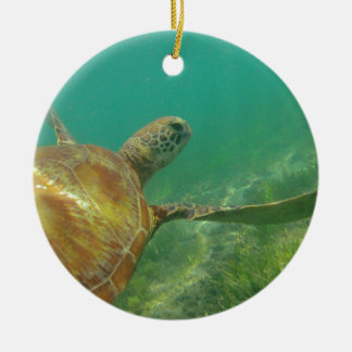 Green-turtle-Great-Barrier-Reef.JPG Ceramic Tree Decoration