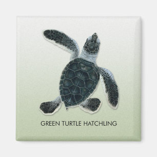 Green Turtle Hatchling Magnet