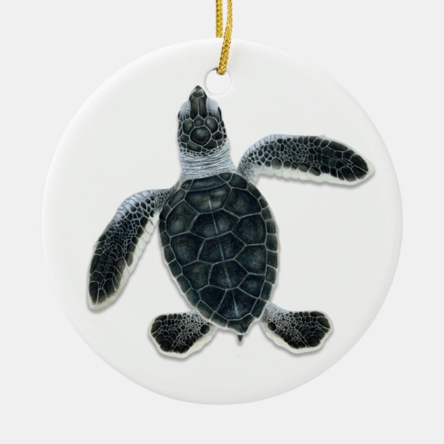 Green Turtle Hatchling Ornaments (Front)