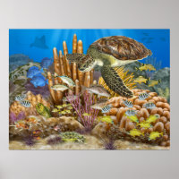 Green Turtle Over Coral Reef