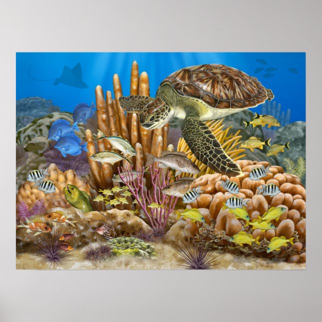 Green Turtle Over Coral Reef Poster (Front)