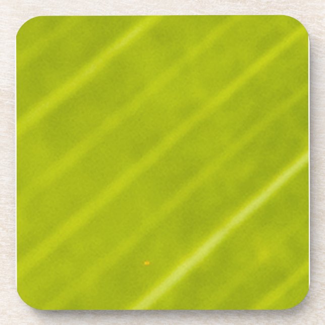 Green Variegated Hawaiin Leaf 3 Coaster (Front)