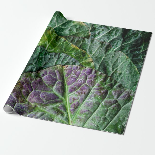 Green vegetable wrapping paper (Unrolled)