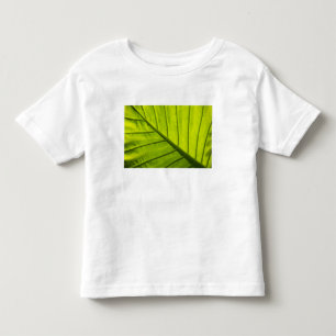 Green veined leaves of tropical foliage in 2 toddler T-Shirt