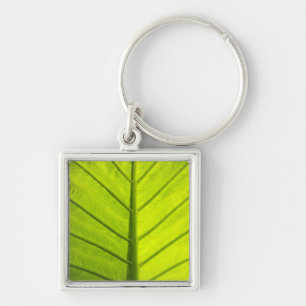 Green veined leaves of tropical foliage in key ring