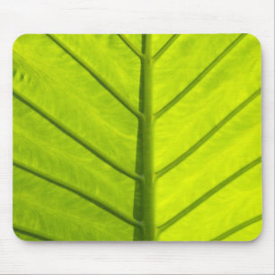 Green veined leaves of tropical foliage in mouse mat