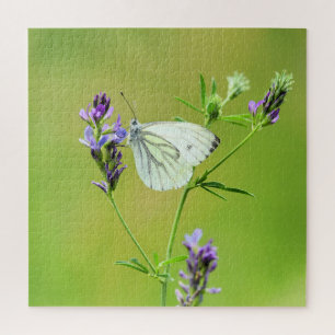 Green Veined White Butterfly Jigsaw Puzzle