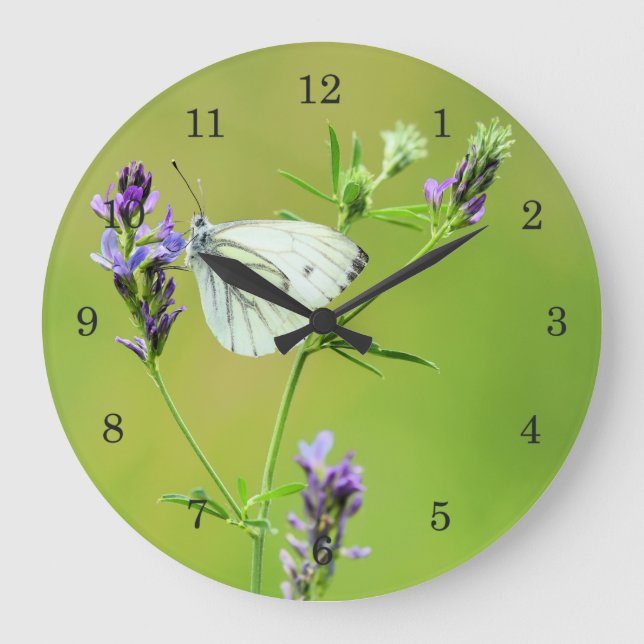 Green Veined White Butterfly Large Clock (Front)