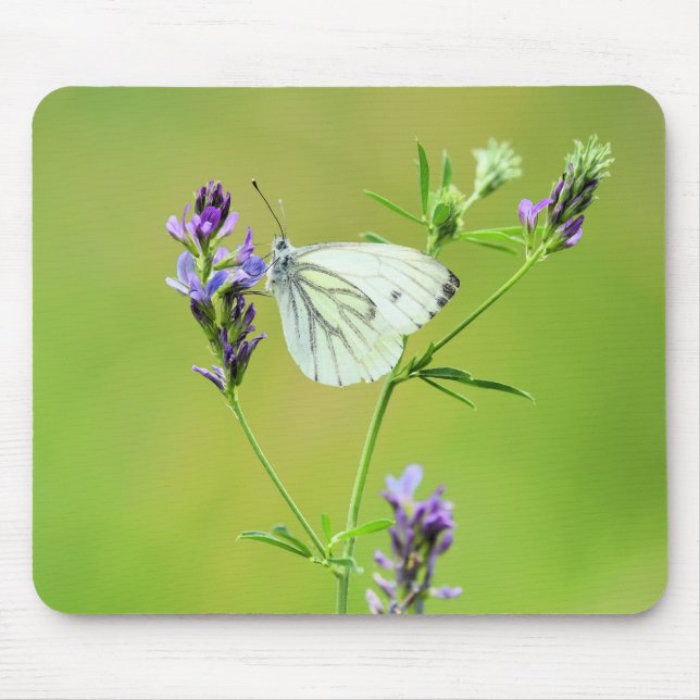 Green Veined White Butterfly Mouse Mat (Front)