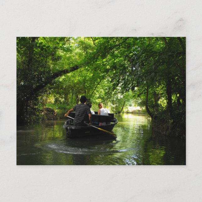 Green Venice Coulon France Postcard (Front)