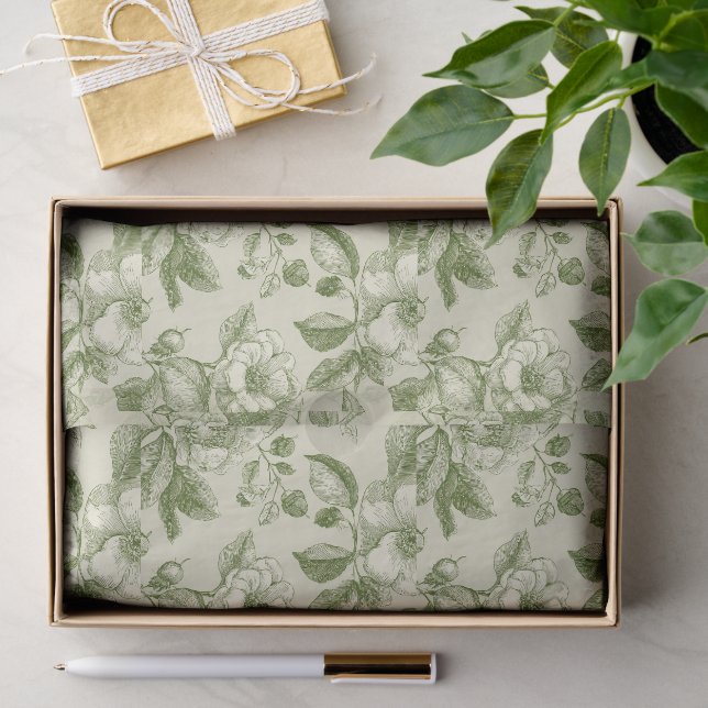 Green Vintage Botanical Toile Pattern Tissue Paper (Gift)
